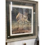 20th cent. Prints: Signed limited edition, wildlife Simon Coombes lion and lioness 'The Hypnotist'