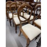 19th cent. Mahogany balloon back dining chairs on sabre legs. (6)