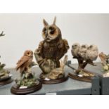 Cold Cast Resin: Long ear owl, M. Tandy, Country Artists Baby Owl group of 3 and a Brown Owl.