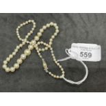 Jewellery: Single row of (83) graduated cultured pearls, size of pearls 2.5mm to 8mm, with a