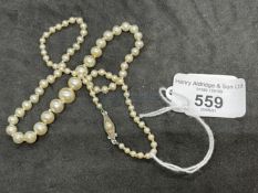 Jewellery: Single row of (83) graduated cultured pearls, size of pearls 2.5mm to 8mm, with a