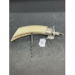Corkscrews/Wine Collectables: Early 20th cent. White metal warthog/boar tusk handled corkscrew steel