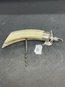 Corkscrews/Wine Collectables: Early 20th cent. White metal warthog/boar tusk handled corkscrew steel