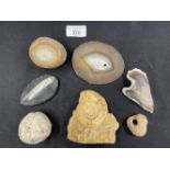 Objects of Antiquity: Fossils, flint, ammonites, and others. (7)