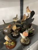 Cold Cast Resin:Country Artists pair Thrushes on a tree stump A/f. Blackbird on a nest A/f.