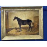 19th cent. English School: Oil on canvas Horse in Stall, attributed to Harry Hall, gilt framed.