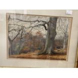 English School: Watercolour "Man in Woods" monogram CH, dated 82, possible Charles Hollis in maple
