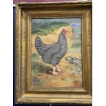 19th cent. Frederick Chatterton. Oil on canvas, Chicken Study Plymouth Rock (Barred Rock), signed