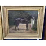 19th cent. English School: William Albert Clark (1880-1963). Oil on canvas Equine Study, Santor (
