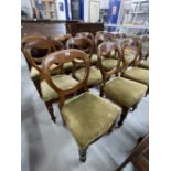 19th cent. Mahogany dining chairs. Hoop backed, carved side and front panels, drop on padded seat
