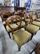 19th cent. Mahogany dining chairs. Hoop backed, carved side and front panels, drop on padded seat