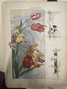 Books: Materiaux et Documents d'Art Decoratif, early 20th cent. French book of wallpaper designs,