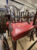 19th cent. Sheraton style mahogany shield back dining chairs, six singles, one carver, on tapered