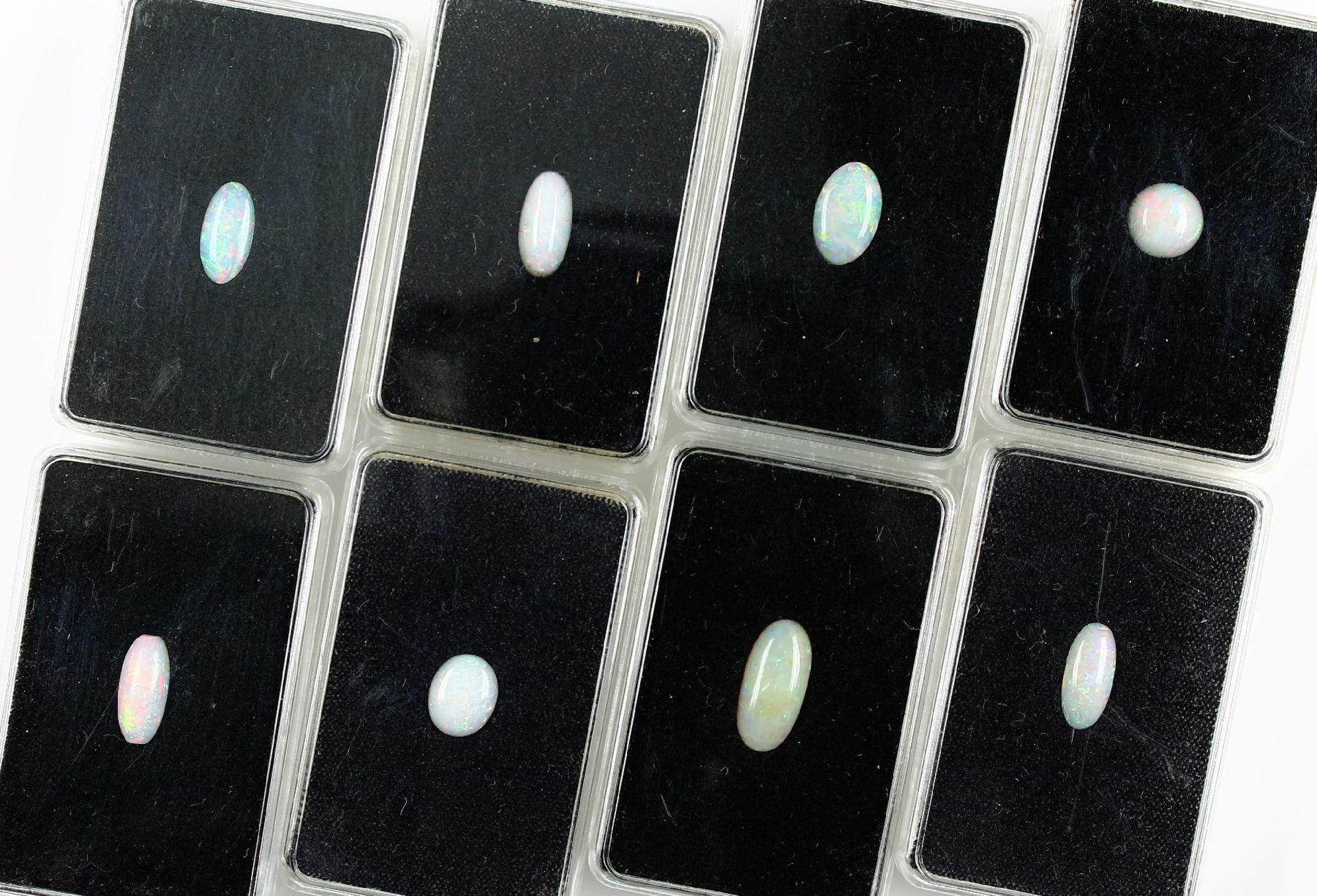 Lot 24 Opalcabochons, zus. ca. 75,45 ct, best. aus: 7 x