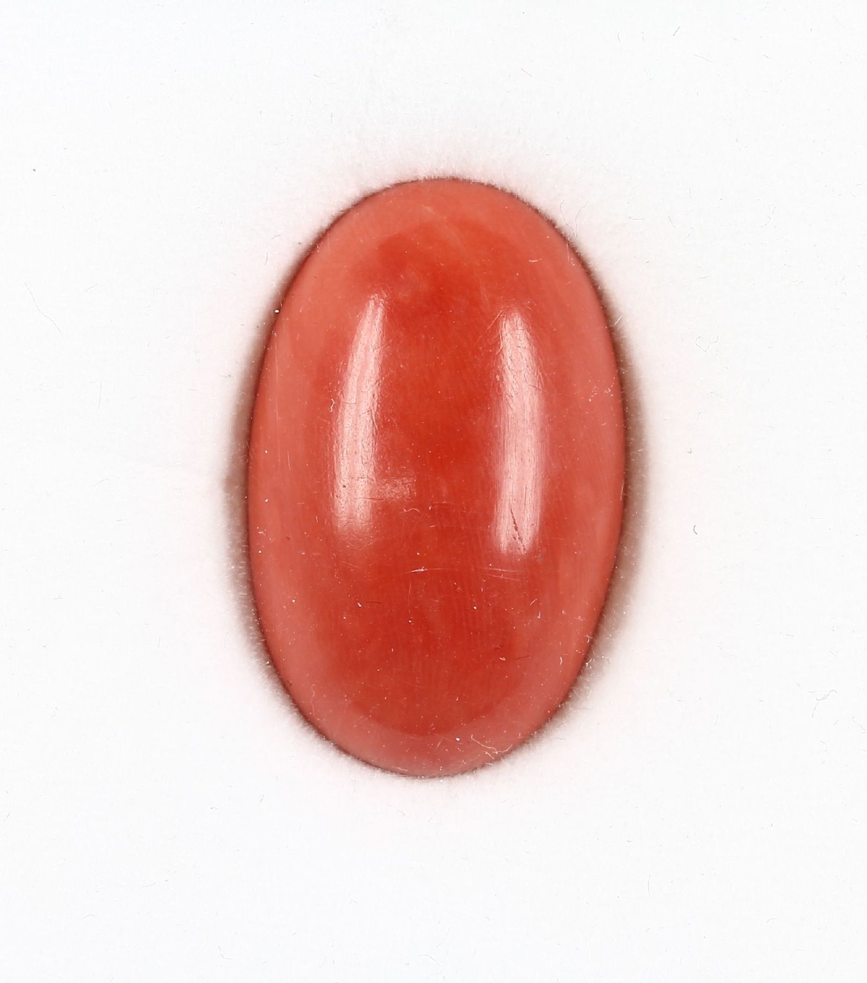 Großer Korallencabochon, ca. 48.8 ct, oval, Versand nur