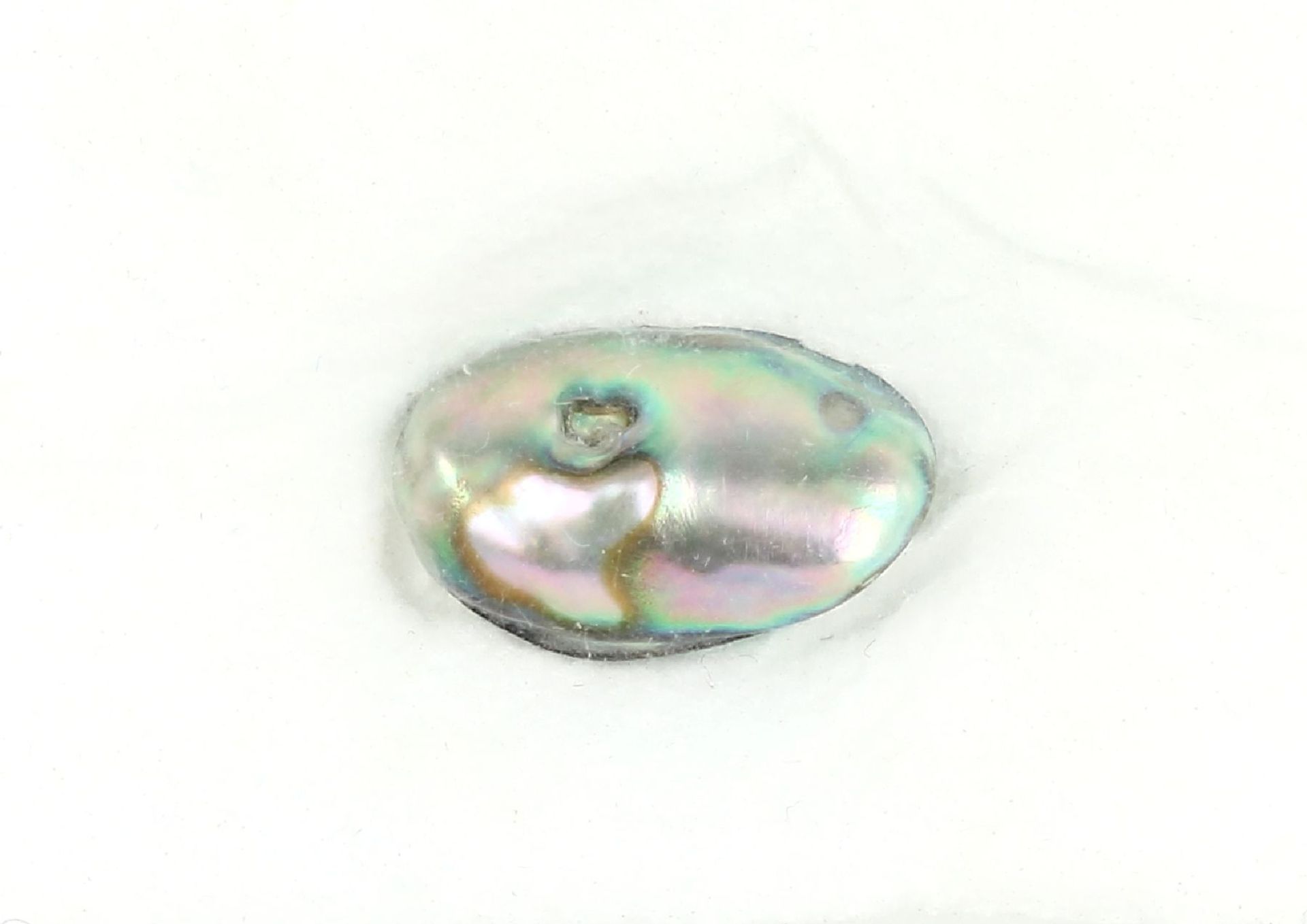 Echte Abalone Perle 3.87 ct, ca. 14.06 x 9.12 x 4.6 mm,