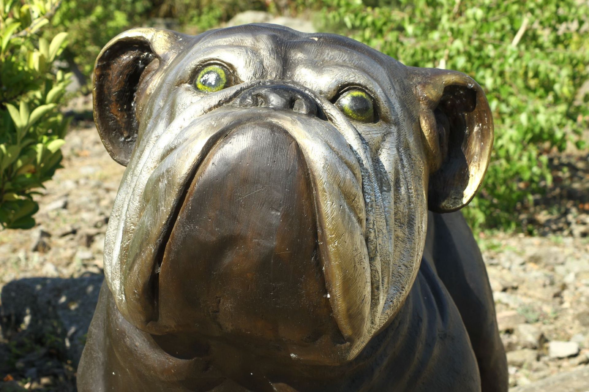 Bulldogge, Bronze, dunkelbraun patiniert, Gesichtspartie - Image 3 of 3