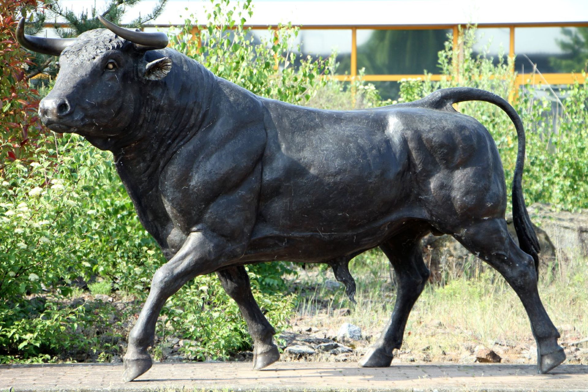 Stier, Bronze, schwärzlich u. partiell dunkelbraun