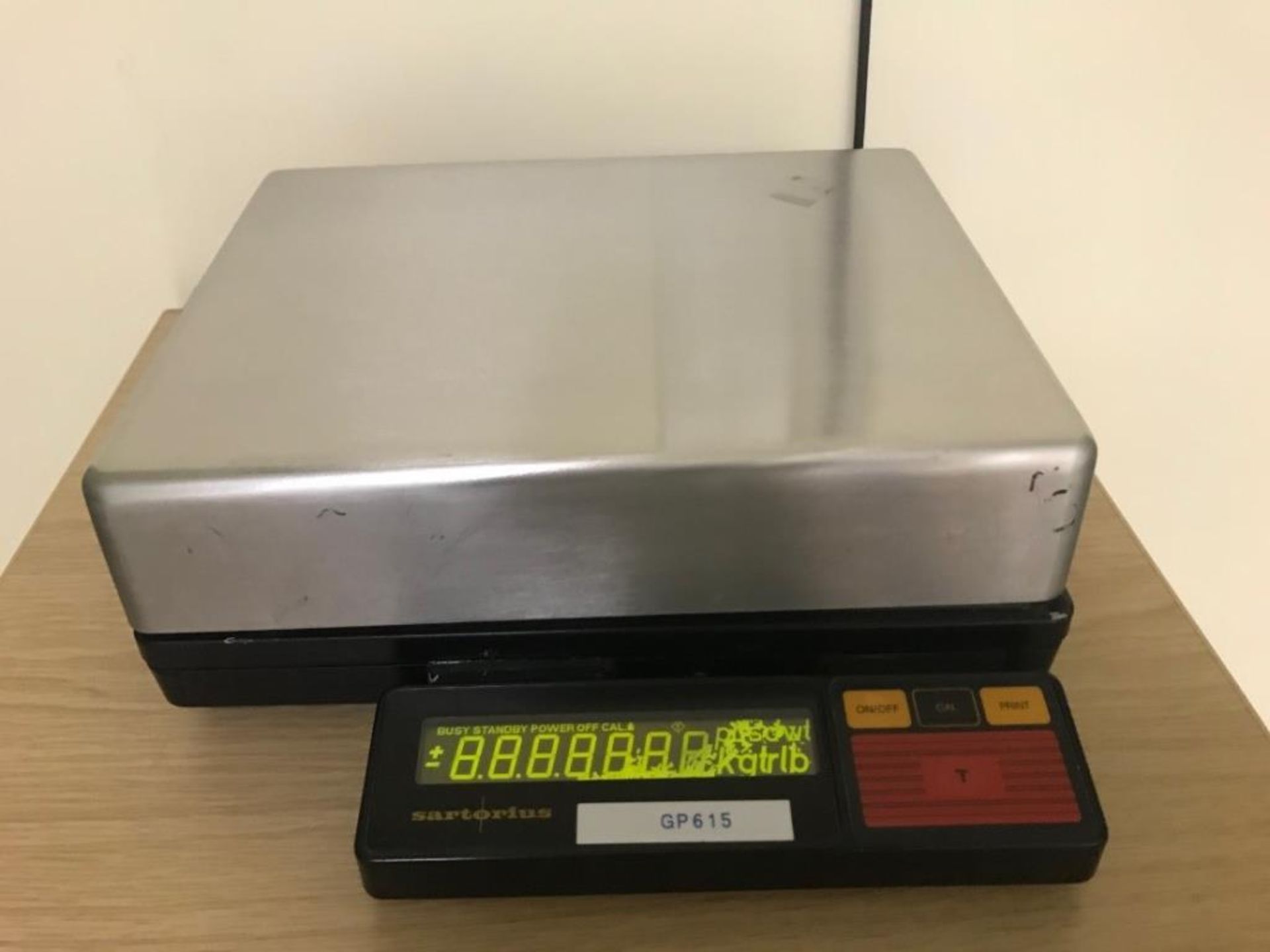 Sartorius Scale