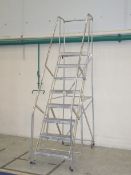 Warehouse Ladder