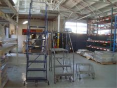 Warehouse Ladders