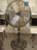 Heavy Duty Pedestal Fans