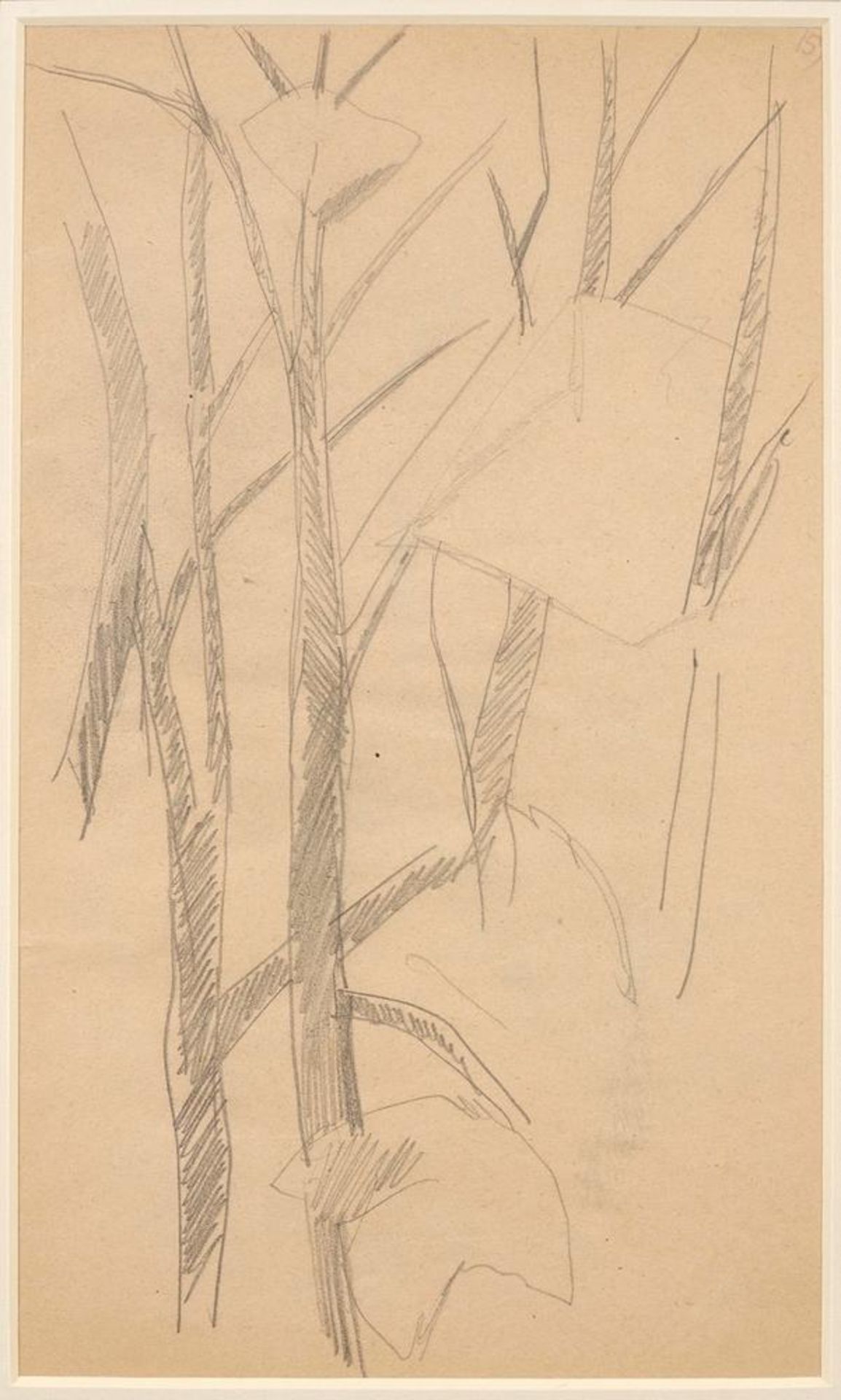 LYUBOV POPOVA (1889-1924) Two Studies of Trees - annotated with numbers ‘161’ and [...] - Image 3 of 3