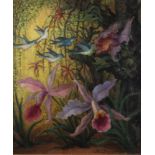 ORCHIDEEN UND KOLIBRIS (1948)