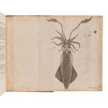 NEEDHAM, John Tuberville (1713-1781).   An Account of Some New Microscopical Discoveries. London: fo