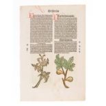 [HERBAL] -- [Hortus sanitatis. De herbis et plantis...] [Strassburg: Johann Pruss, ca 1497?].
