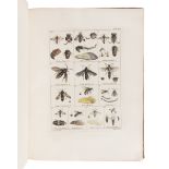 COQUEBERT, Antoine Jean (1753-1825). Illustratio Iconographica Insectorum"¦ Paris: Typis Petri Didot