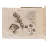 BUONANNI, Filippo (1638-1725).   Observationes circa viventia, quae in rebus non viventibus reperiun