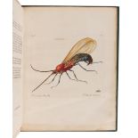 HILL, John, Sir (1716?-1775).   A Decade of Curious Insects: Some of them not describ'd before: Shew