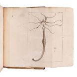 BAKER, Henry (1698-1774). Essai sur l'histoire du polype, insecte. Paris: Chez Durand, 1744.