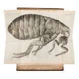 HOOKE, Robert (1635-1702).   Micrographia: Or Some Psychological Descriptions of Minute Bodies Made