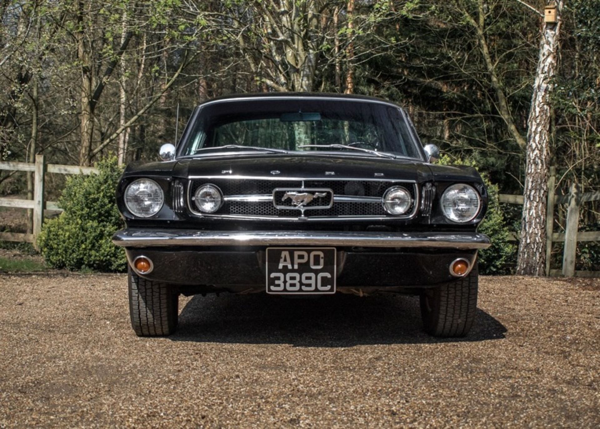 1965 Ford Mustang GT Fastback