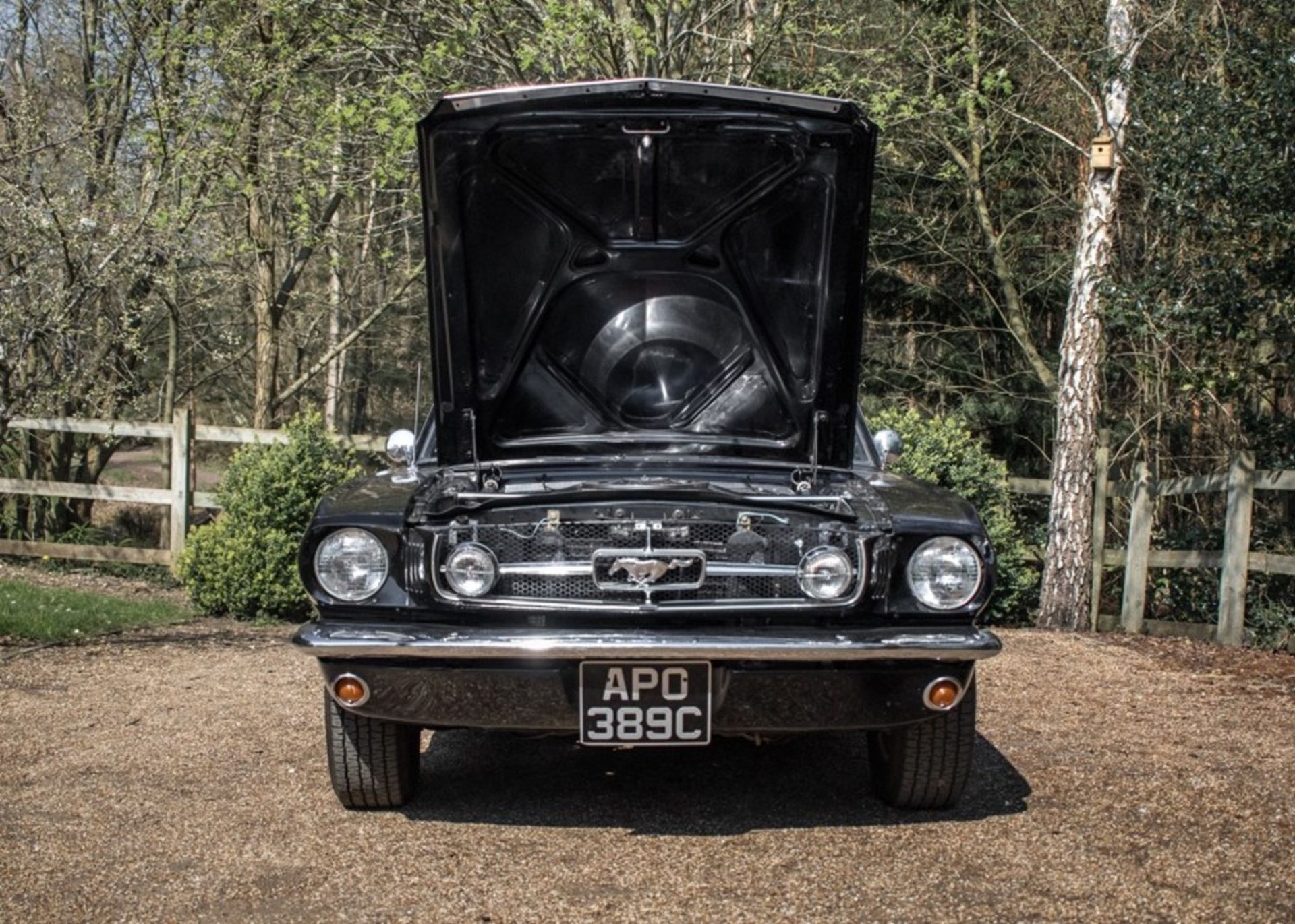 1965 Ford Mustang GT Fastback - Image 5 of 9