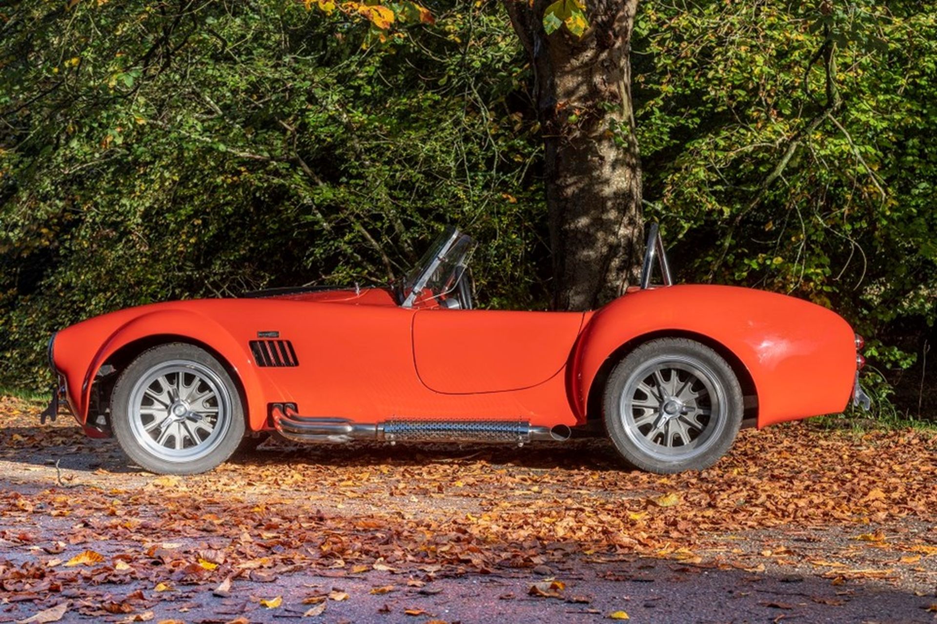 2007 Backdraft RT4 Cobra Roadster - Image 2 of 9