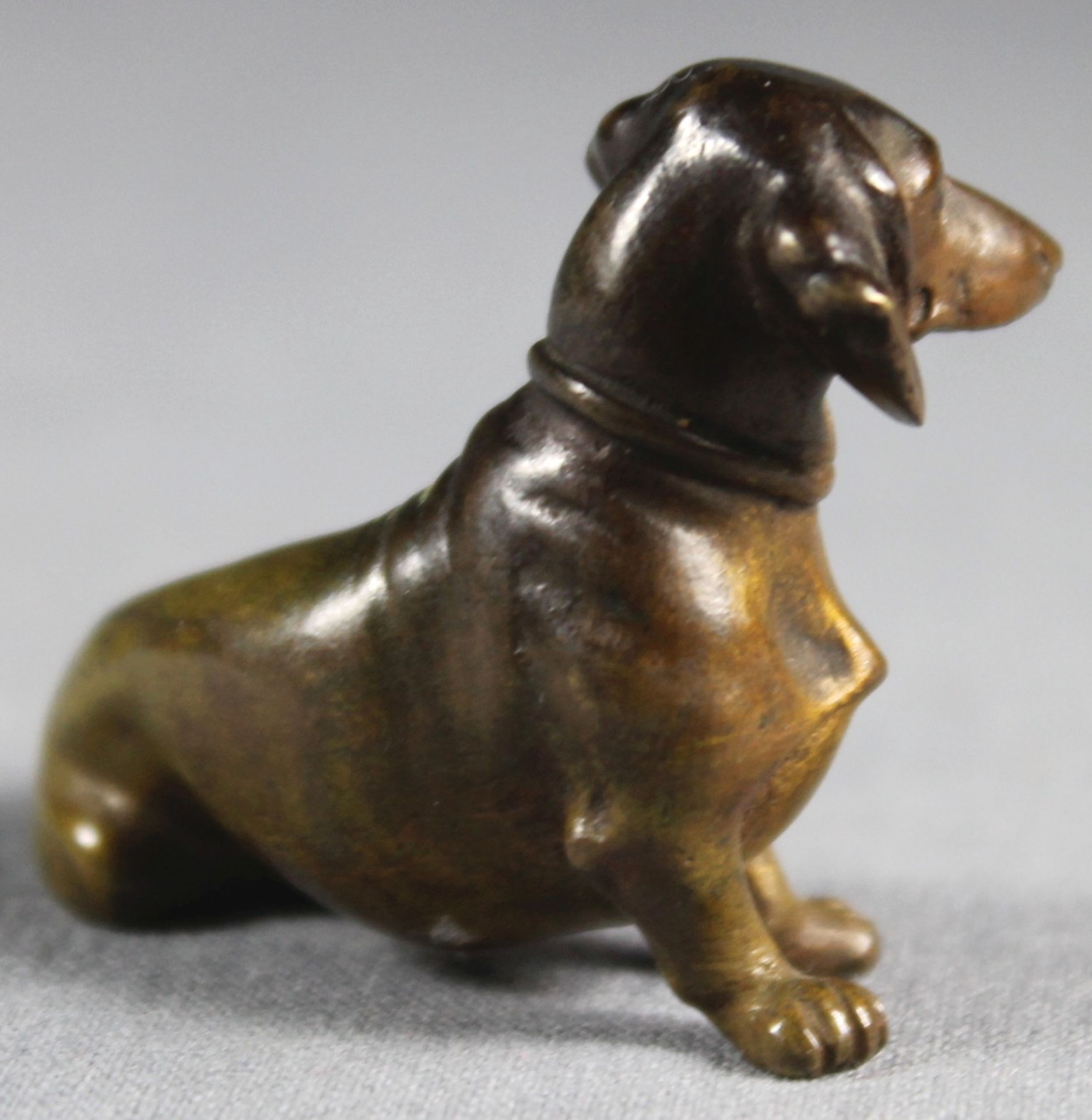 1 kleine Bronzefigur "sitzender Dackel", ca. 3,5cm x 5cm - Image 3 of 4