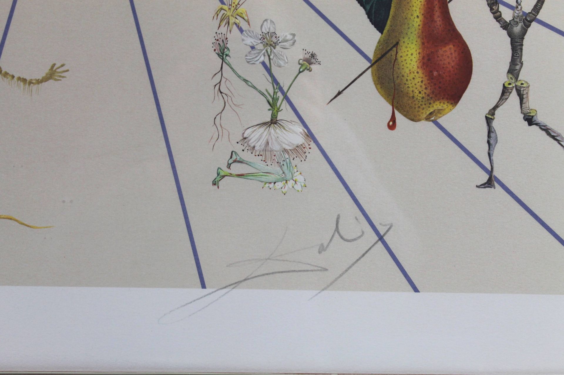 1 große Lithographie von Dalí in passend zum Blatt gestalteten Rahmen "Flordalí II, ", 1981, ca. - Bild 2 aus 2