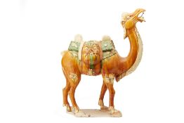 A LARGE SANCAI GLAZED MODEL OF A BACTRIAN CAMEL