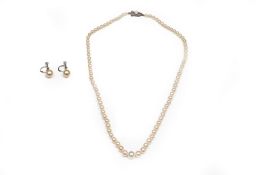 A CULTURED PEARL GRADUATED SINGLE STRAND NECKLACE