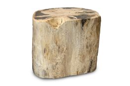 A PETRIFIED WOOD STOOL