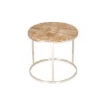 A PETRIFIED WOODEN CIRCULAR SIDE TABLE