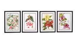 A SET OF FOUR BOTANICAL ILLUSTRATION PRINTS