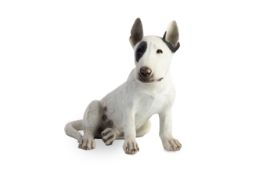 A PAINTED MODEL OF A DOG