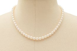 AN AKOYA SINGLE STRAND PEARL NECKLACE (APPROX. 62 PEARLS)