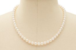 AN AKOYA PEARL NECKLACE (APPROX. 49 PEARLS)