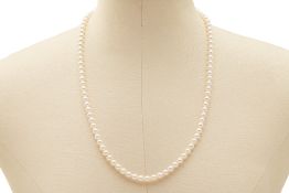 AN AKOYA SINGLE STRAND PEARL NECKLACE (APPROX. 95 PEARLS)