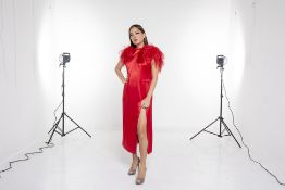 A 16ARLINGTON 'YOSHINA' RED FEATHER DRESS